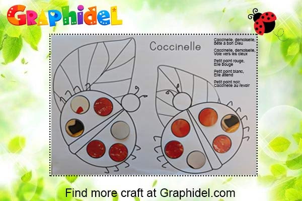 Ladybug